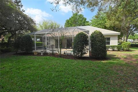 1687 N Sky Glen Path, Hernando, FL 34442 photo 56