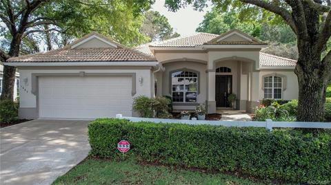 1687 N Sky Glen Path, Hernando, FL 34442 photo 1