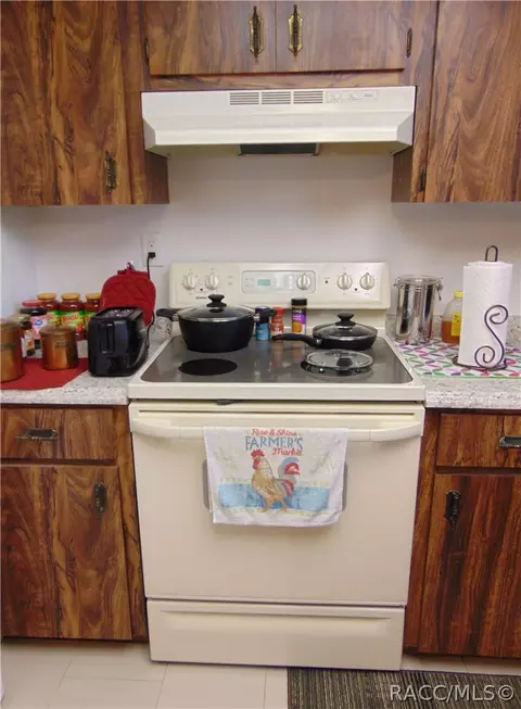 3583 E Adams St, Hernando, FL 34442 photo 11