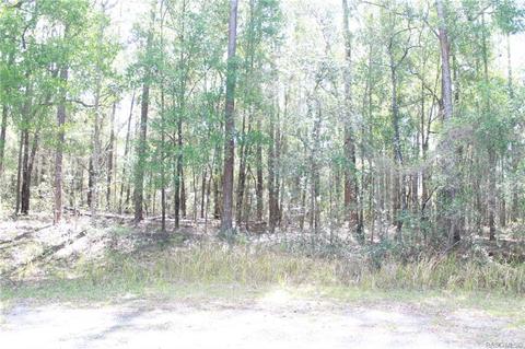 222 E Panama Dr, Citrus Springs, FL 34434