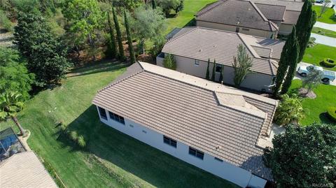 1299 W Diamond Shore Loop, Hernando, FL 34442 photo 58