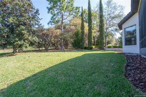 1299 W Diamond Shore Loop, Hernando, FL 34442 photo 61