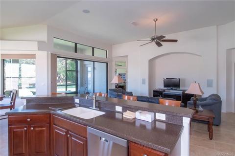 1299 W Diamond Shore Loop, Hernando, FL 34442 photo 19