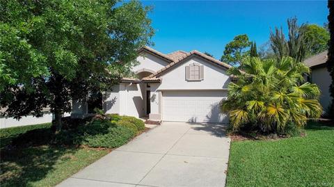 1299 W Diamond Shore Loop, Hernando, FL 34442 photo 52