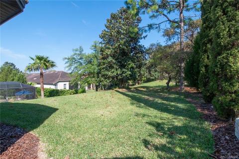 1299 W Diamond Shore Loop, Hernando, FL 34442 photo 62