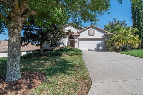 1299 W Diamond Shore Loop, Hernando, FL 34442 photo 5