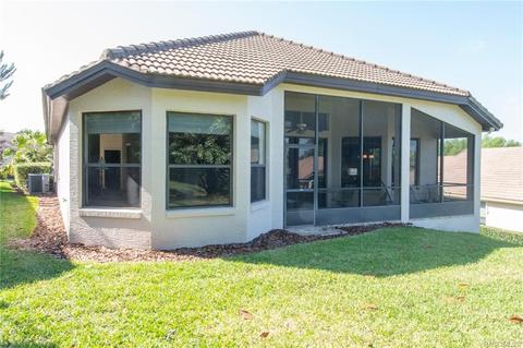 1299 W Diamond Shore Loop, Hernando, FL 34442 photo 60