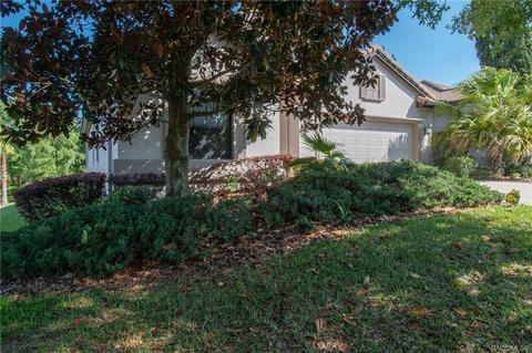 1299 W Diamond Shore Loop, Hernando, FL 34442 photo 56