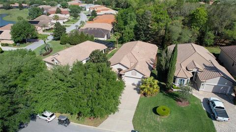 1299 W Diamond Shore Loop, Hernando, FL 34442 photo 2