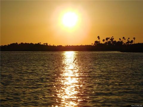 1299 W Diamond Shore Loop, Hernando, FL 34442 photo 74