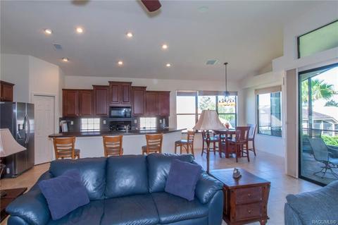 1299 W Diamond Shore Loop, Hernando, FL 34442 photo 11