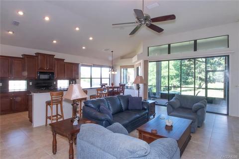 1299 W Diamond Shore Loop, Hernando, FL 34442 photo 9