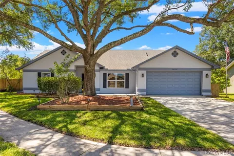 24204 Hampton Pl, Lutz, FL 33559 photo 4