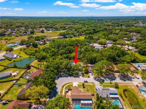 24204 Hampton Pl, Lutz, FL 33559 photo 8