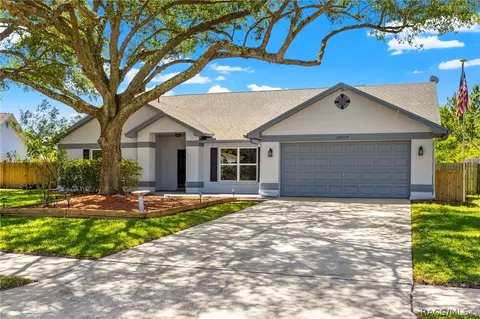 24204 Hampton Pl, Lutz, FL 33559 photo 1