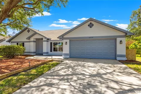 24204 Hampton Pl, Lutz, FL 33559 photo 3