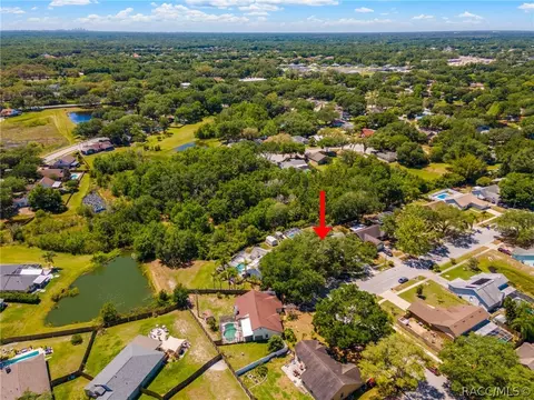 24204 Hampton Pl, Lutz, FL 33559 photo 5