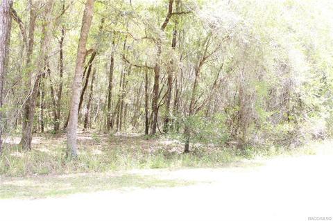 9837 Gallahad Pt, Citrus Springs, FL 34434