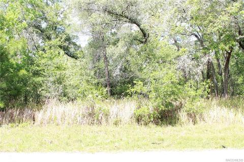 6179 N Buckland Dr, Citrus Springs, FL 34434