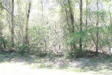 9460 N Lily Dr, Citrus Springs, FL 34434