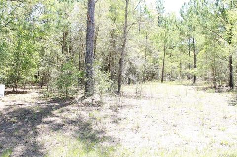1524 E Carson Rd, Citrus Springs, FL 34434
