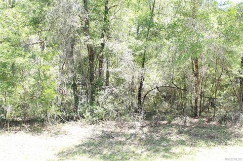 9457 N Lily Dr, Citrus Springs, FL 34434