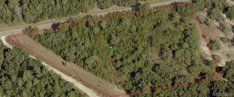1110 E Overdrive Cir, Hernando, FL 34442