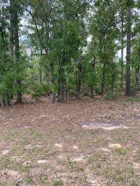 5631 W Pine Ridge Blvd, Beverly Hills, FL 34465