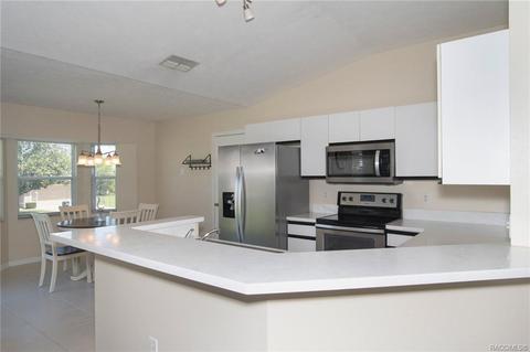 779 W Cockatiel Loop, Hernando, FL 34442 photo 30