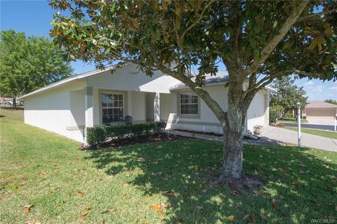 779 W Cockatiel Loop, Hernando, FL 34442 photo 44
