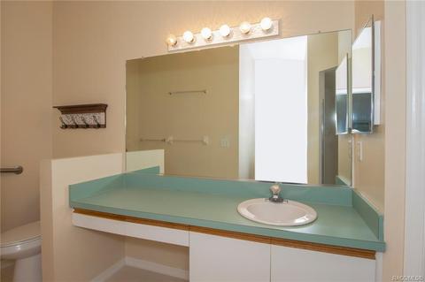 779 W Cockatiel Loop, Hernando, FL 34442 photo 20