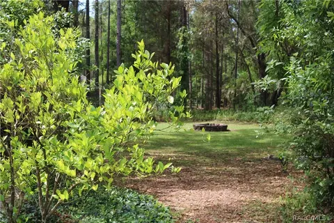 1662 W Pearson St, Hernando, FL 34442 photo 31