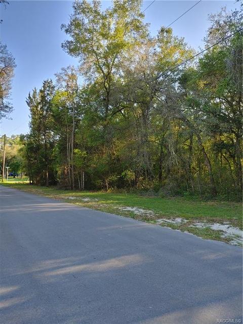 1429 E Oriole Ct, Hernando, FL 34442 photo 4