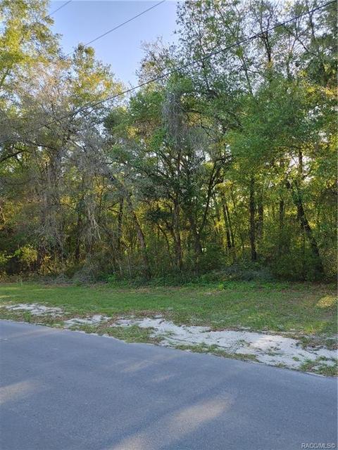 1429 E Oriole Ct, Hernando, FL 34442 photo 2