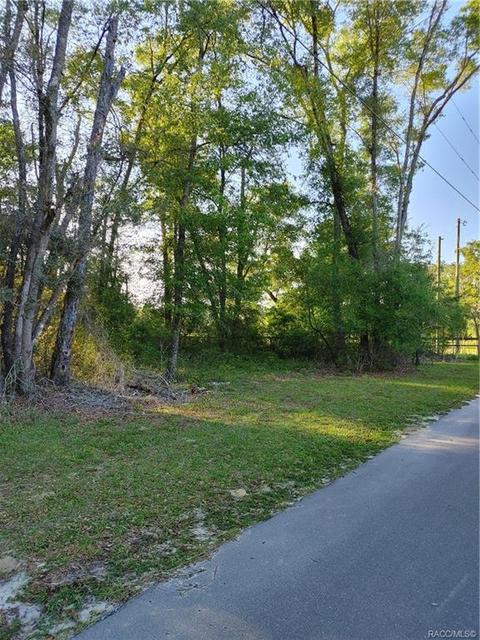 1429 E Oriole Ct, Hernando, FL 34442 photo 3
