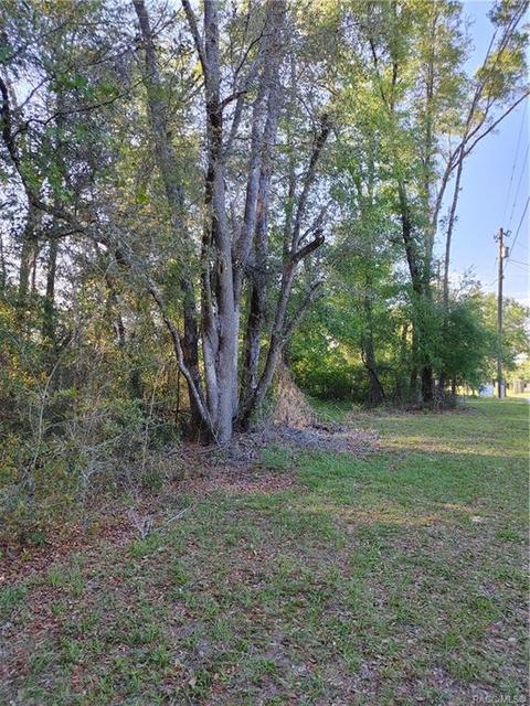1429 E Oriole Ct, Hernando, FL 34442 photo 10