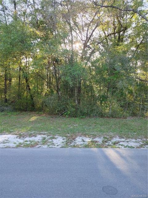 1429 E Oriole Ct, Hernando, FL 34442 photo 5
