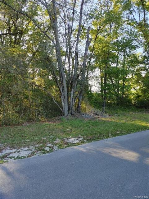 1429 E Oriole Ct, Hernando, FL 34442 photo 6