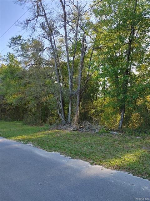 1429 E Oriole Ct, Hernando, FL 34442 photo 8