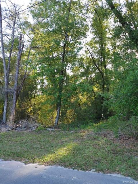 1429 E Oriole Ct, Hernando, FL 34442 photo 7