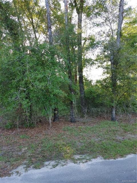 1429 E Oriole Ct, Hernando, FL 34442 photo 9