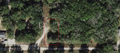 2516 Tyler St, Inverness, FL 34453