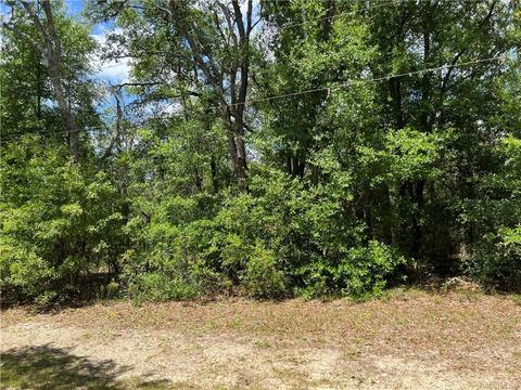 1403 W Milan Ln, Hernando, FL 34442 photo 1
