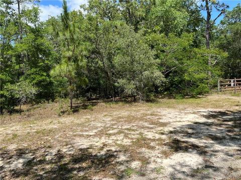 1385 W Milan Ln, Hernando, FL 34442 photo 1