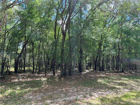 1402 W Milan Ln, Hernando, FL 34442 photo 1