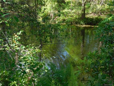 12139 N Elkcam Blvd, Dunnellon, FL 34433