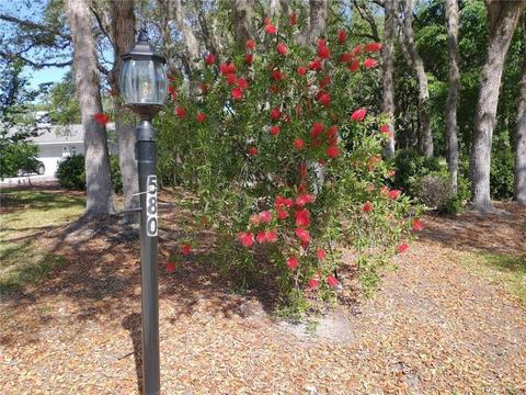 580 N Grandview Ave, Hernando, FL 34442 photo 40