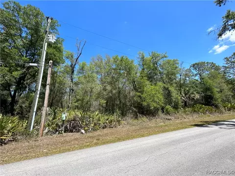 9771 W Hayes Ln, Crystal River, FL 34428