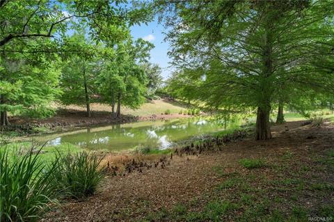 1658 W Spring Meadow Loop, Lecanto, FL 34461 photo 29