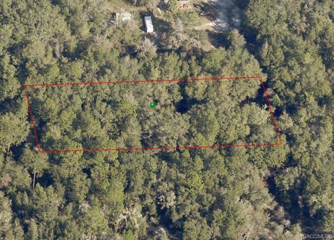 10228 N Burgundy Pt, Dunnellon, FL 34433